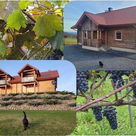 Fantastic View Vineyard Beskid Mountains Gruszow  외부 사진
