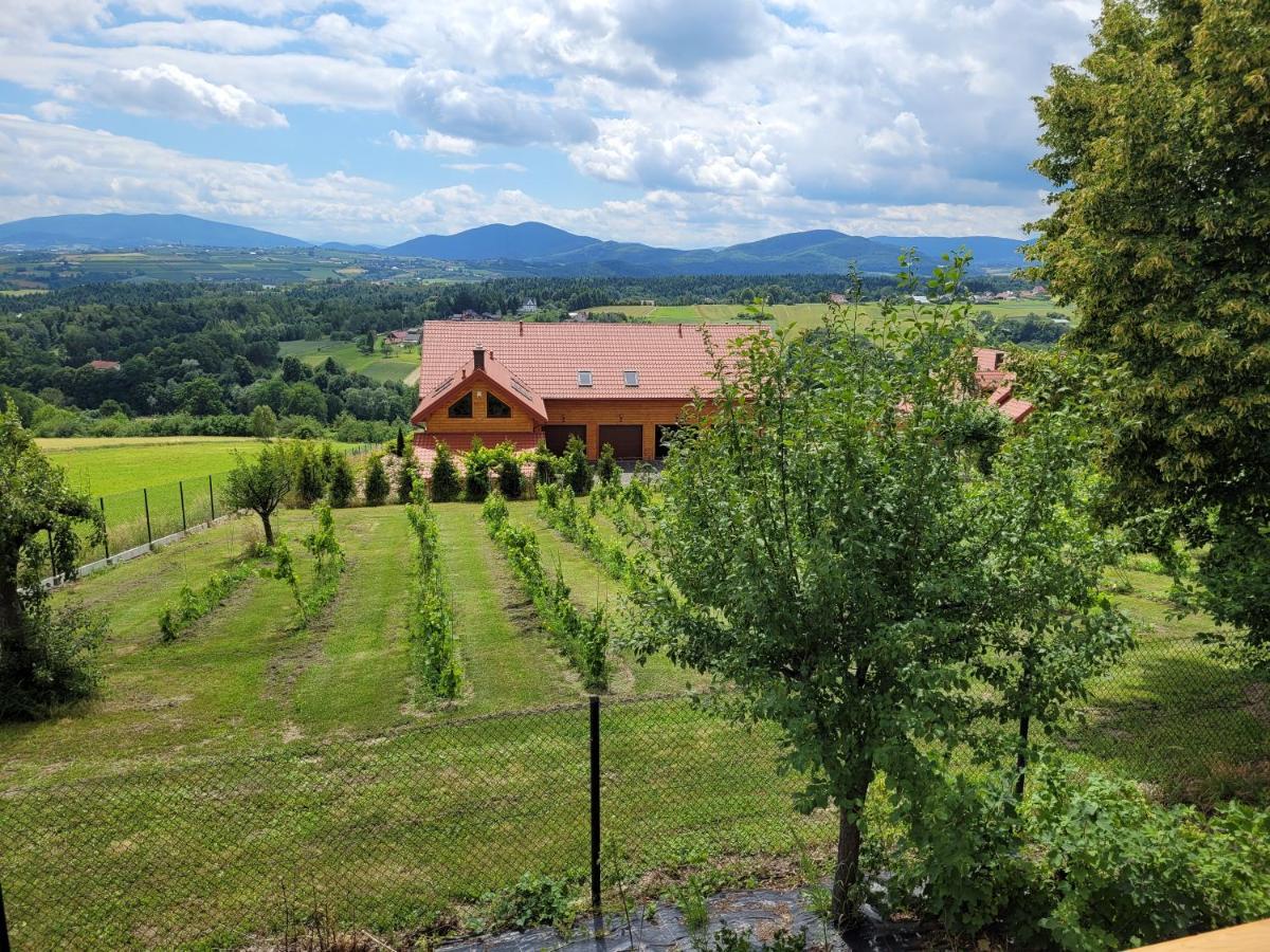 Fantastic View Vineyard Beskid Mountains Gruszow  외부 사진