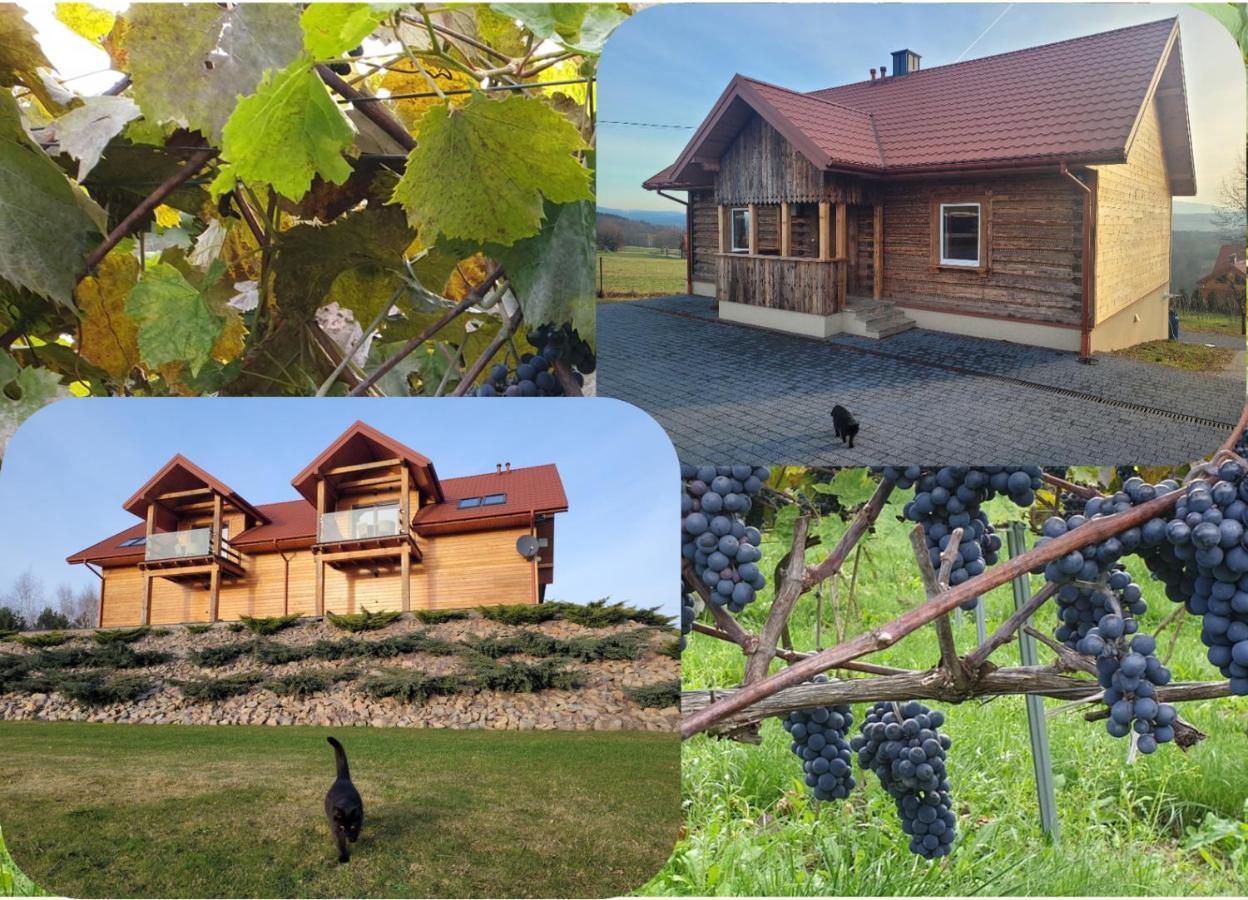 Fantastic View Vineyard Beskid Mountains Gruszow  외부 사진