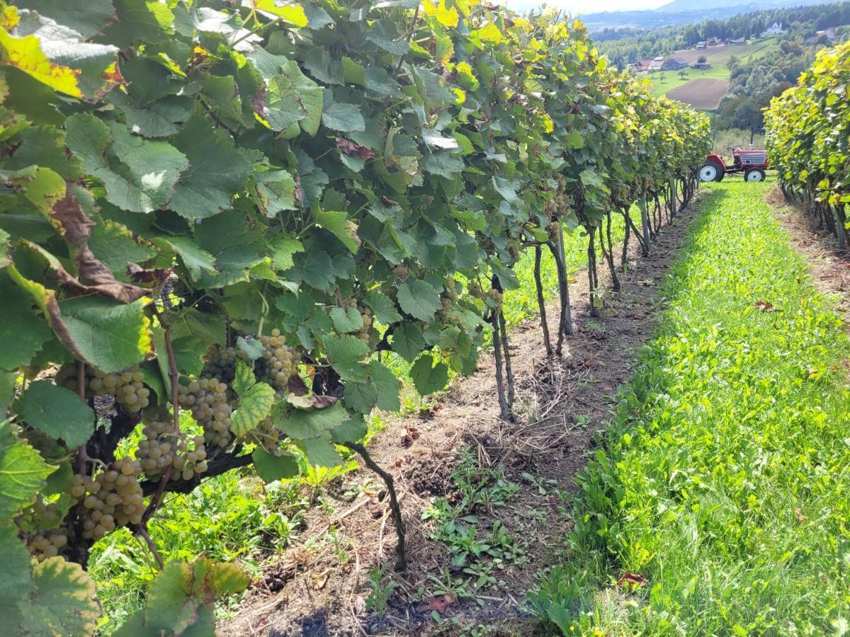 Fantastic View Vineyard Beskid Mountains Gruszow  외부 사진
