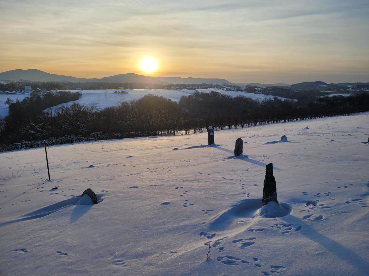 Fantastic View Vineyard Beskid Mountains Gruszow  외부 사진