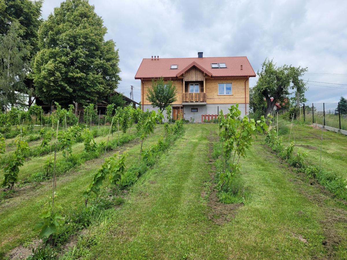 Fantastic View Vineyard Beskid Mountains Gruszow  외부 사진