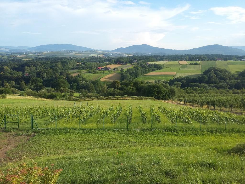 Fantastic View Vineyard Beskid Mountains Gruszow  외부 사진