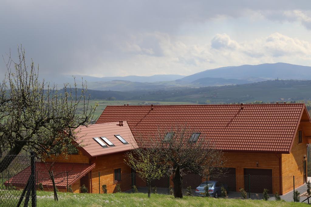 Fantastic View Vineyard Beskid Mountains Gruszow  외부 사진
